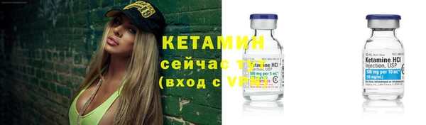 трава Гусиноозёрск