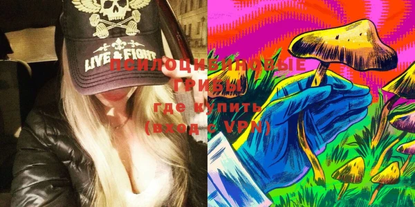 спиды Гусь-Хрустальный