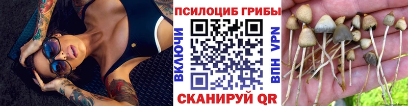 Галлюциногенные грибы Cubensis  omg ссылки  Ефремов 