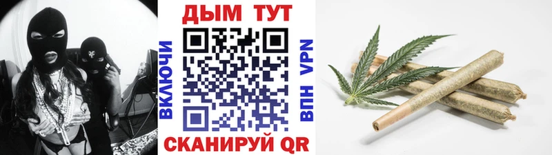 Шишки марихуана тримм  darknet наркотические препараты  Ефремов  где купить  